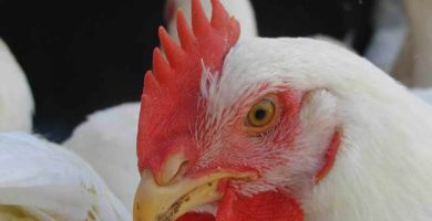 Trump golpea de nuevo con aranceles a China 5 exportacion aduanal