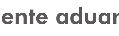 cropped cropped logo agente aduanal